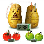 Kit didattico fai-da-te per orologio digitale con orologio digitale per scienza verde con schermo LCD da 2 pollici (patata NON inclusa), Potato Digital Clock