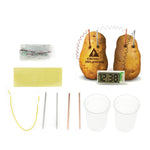 Kit didattico fai-da-te per orologio digitale con orologio digitale per scienza verde con schermo LCD da 2 pollici (patata NON inclusa), Potato Digital Clock