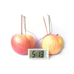 Kit didattico fai-da-te per orologio digitale con orologio digitale per scienza verde con schermo LCD da 2 pollici (patata NON inclusa), Potato Digital Clock