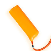 3 in 1 (cane da addestramento, cane da bandire, illuminazione), 3 in 1