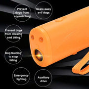 3 in 1 (cane da addestramento, cane da bandire, illuminazione), 3 in 1