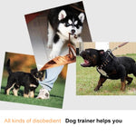 Collare addestramento cane elettrico con telecomando 150 m