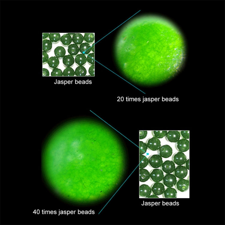 Microscopio tascabile con obiettivo zoom con ingrandimento 20X - 40X con luce LED