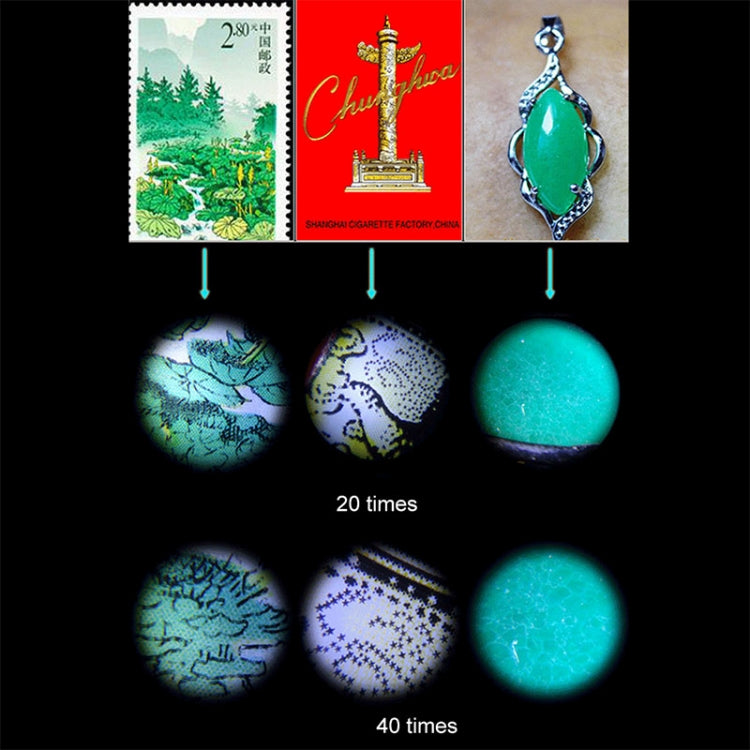 Microscopio tascabile con obiettivo zoom con ingrandimento 20X - 40X con luce LED