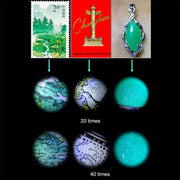 Microscopio tascabile con obiettivo zoom con ingrandimento 20X - 40X con luce LED