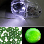 Microscopio tascabile zoom 20X-40X con luce LED