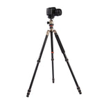 Triopo MT-2504C Treppiede portatile regolabile in alluminio con testa a sfera NB-1S per fotocamera DSLR Canon Nikon Sony, MT-2504C (Black), MT-2504C (Gold)