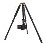 Triopo MT-2504C Treppiede portatile regolabile in alluminio con testa a sfera NB-1S per fotocamera DSLR Canon Nikon Sony, MT-2504C (Black), MT-2504C (Gold)