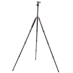 Triopo MT-2504C Treppiede portatile regolabile in alluminio con testa a sfera NB-1S per fotocamera DSLR Canon Nikon Sony, MT-2504C (Black), MT-2504C (Gold)
