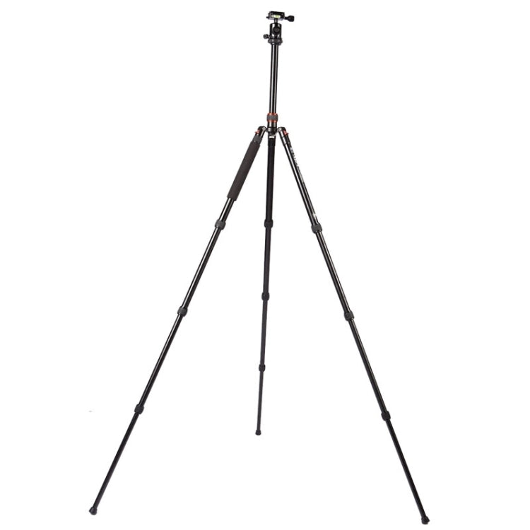 Triopo MT-2504C Treppiede portatile regolabile in alluminio con testa a sfera NB-1S per fotocamera DSLR Canon Nikon Sony, MT-2504C (Black), MT-2504C (Gold)
