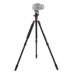 Triopo MT-2504C Treppiede portatile regolabile in alluminio con testa a sfera NB-1S per fotocamera DSLR Canon Nikon Sony, MT-2504C (Black), MT-2504C (Gold)