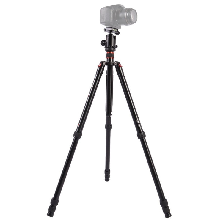 Triopo MT-2804C Treppiede portatile regolabile in alluminio con testa a sfera NB-2S per fotocamera DSLR Canon Nikon Sony, MT-2804C (Black), MT-2804C (Gold)