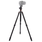 Triopo MT-2804C Treppiede portatile regolabile in alluminio con testa a sfera NB-2S per fotocamera DSLR Canon Nikon Sony, MT-2804C (Black), MT-2804C (Gold)
