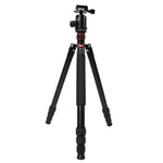 Triopo MT-2804C Treppiede portatile regolabile in alluminio con testa a sfera NB-2S per fotocamera DSLR Canon Nikon Sony, MT-2804C (Black), MT-2804C (Gold)