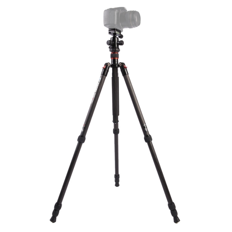 Triopo GT-2504X8.C Treppiede portatile regolabile in fibra di carbonio con testa a sfera in alluminio B-1 per fotocamera DSLR Canon Nikon Sony, GT-2504X8.C (Black), GT-2504X8.C (Gold)