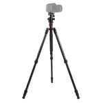 Triopo GT-2504X8.C Treppiede portatile regolabile in fibra di carbonio con testa a sfera in alluminio B-1 per fotocamera DSLR Canon Nikon Sony, GT-2504X8.C (Black), GT-2504X8.C (Gold)