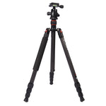 Triopo GT-2504X8.C Treppiede portatile regolabile in fibra di carbonio con testa a sfera in alluminio B-1 per fotocamera DSLR Canon Nikon Sony, GT-2504X8.C (Black), GT-2504X8.C (Gold)