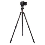 Triopo GT-2504X8.C Treppiede portatile regolabile in fibra di carbonio con testa a sfera in alluminio B-1 per fotocamera DSLR Canon Nikon Sony, GT-2504X8.C (Black), GT-2504X8.C (Gold)