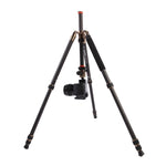 Triopo GT-2504X8.C Treppiede portatile regolabile in fibra di carbonio con testa a sfera in alluminio B-1 per fotocamera DSLR Canon Nikon Sony, GT-2504X8.C (Black), GT-2504X8.C (Gold)
