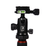 Triopo GT-2504X8.C Treppiede portatile regolabile in fibra di carbonio con testa a sfera in alluminio B-1 per fotocamera DSLR Canon Nikon Sony, GT-2504X8.C (Black), GT-2504X8.C (Gold)