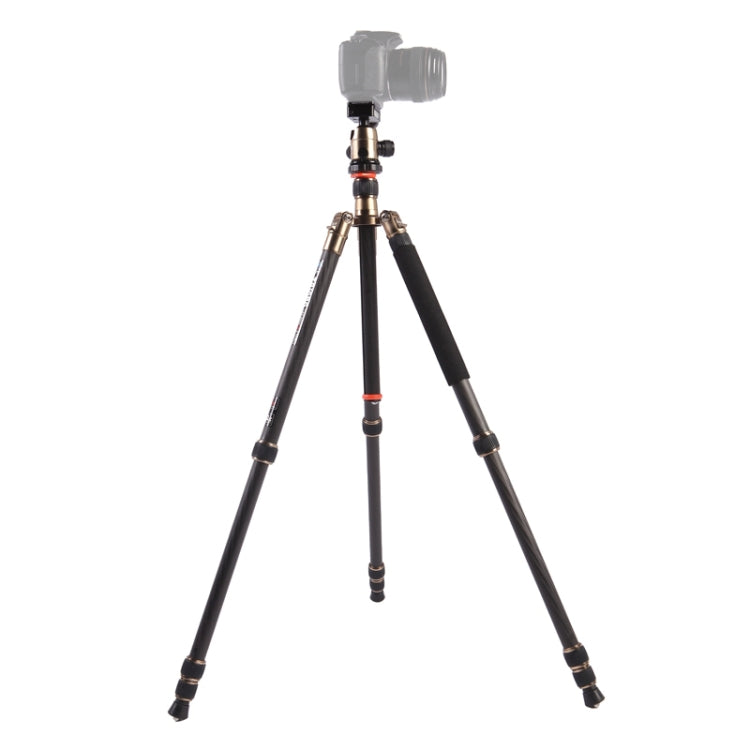 Triopo GT-2504X8.C Treppiede portatile regolabile in fibra di carbonio con testa a sfera in alluminio B-1 per fotocamera DSLR Canon Nikon Sony, GT-2504X8.C (Black), GT-2504X8.C (Gold)