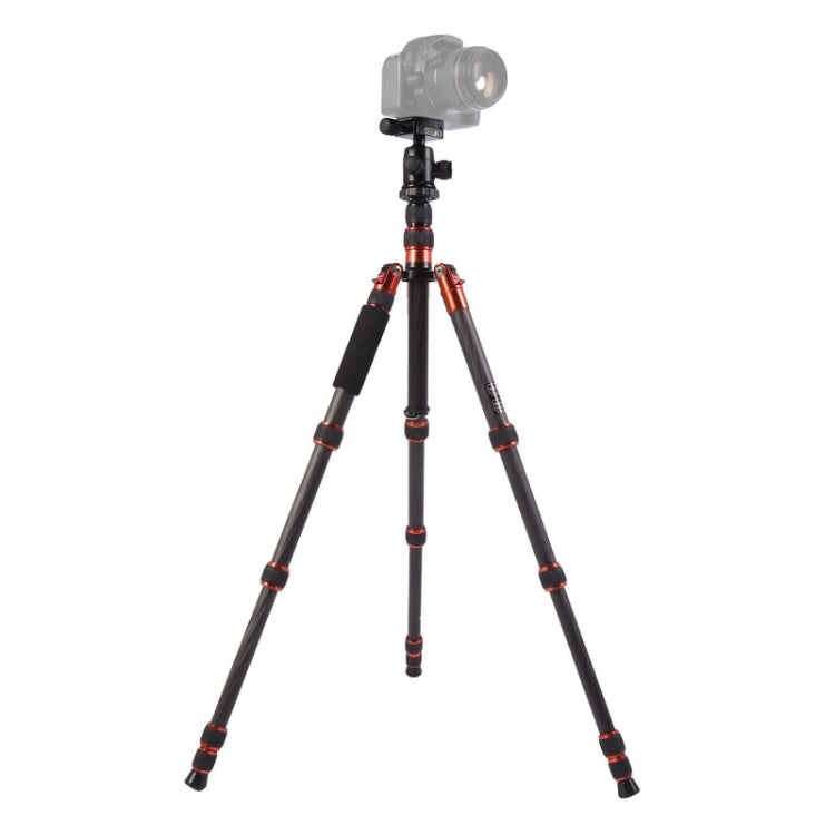 Triopo GT-2505x8.C Treppiede portatile regolabile in fibra di carbonio con testa a sfera in alluminio B-1 per fotocamera DSLR Canon Nikon Sony, GT-2505x8.C (Black), GT-2505x8.C (Gold)