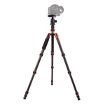 Triopo GT-2505x8.C Treppiede portatile regolabile in fibra di carbonio con testa a sfera in alluminio B-1 per fotocamera DSLR Canon Nikon Sony, GT-2505x8.C (Black), GT-2505x8.C (Gold)