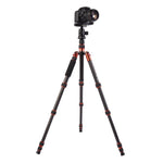 Triopo GT-2505x8.C Treppiede portatile regolabile in fibra di carbonio con testa a sfera in alluminio B-1 per fotocamera DSLR Canon Nikon Sony, GT-2505x8.C (Black), GT-2505x8.C (Gold)