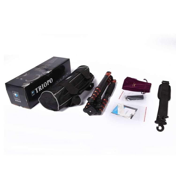 Triopo GT-2505x8.C Treppiede portatile regolabile in fibra di carbonio con testa a sfera in alluminio B-1 per fotocamera DSLR Canon Nikon Sony, GT-2505x8.C (Black), GT-2505x8.C (Gold)