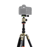 Triopo GT-2505x8.C Treppiede portatile regolabile in fibra di carbonio con testa a sfera in alluminio B-1 per fotocamera DSLR Canon Nikon Sony, GT-2505x8.C (Black), GT-2505x8.C (Gold)