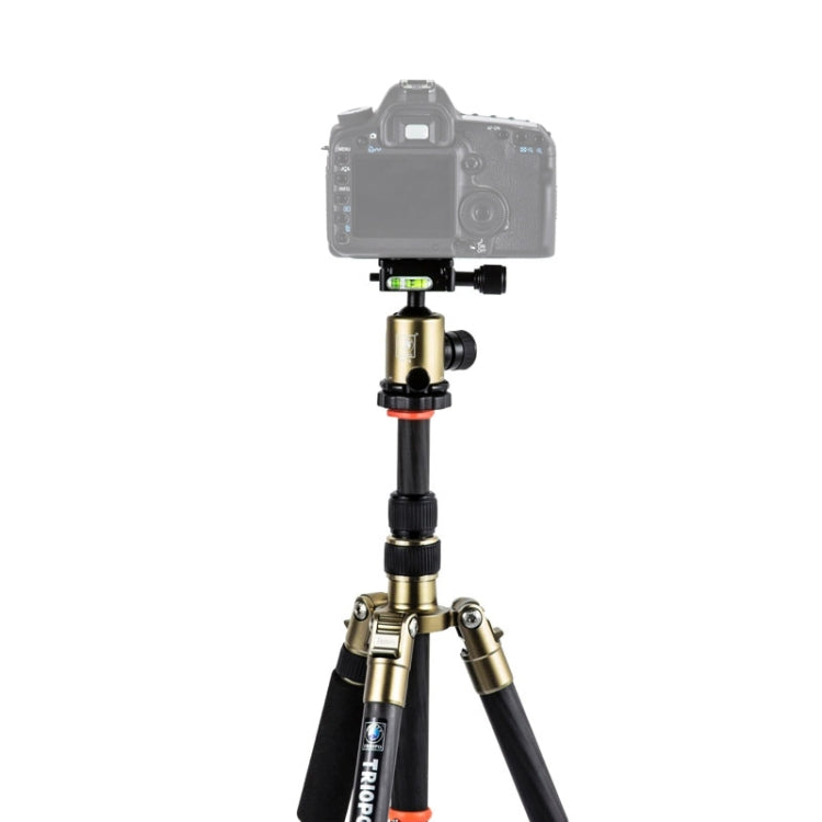 Triopo GT-2505x8.C Treppiede portatile regolabile in fibra di carbonio con testa a sfera in alluminio B-1 per fotocamera DSLR Canon Nikon Sony, GT-2505x8.C (Black), GT-2505x8.C (Gold)