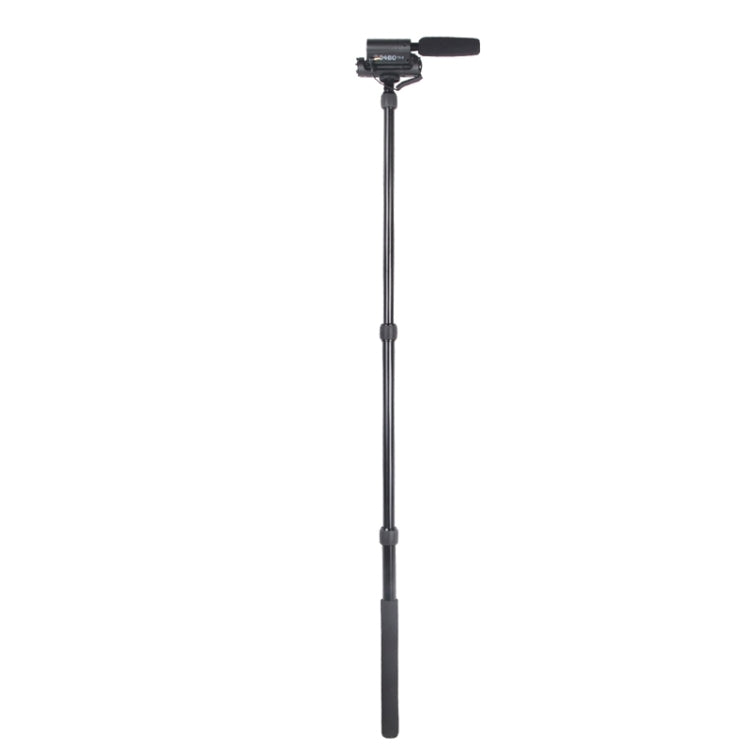 Supporto per asta portatile in lega di alluminio per fotocamera reflex/microfono con luce LED, lunghezza massima: 173 cm