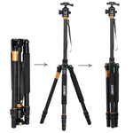 ZOMEI Z688 Monopiede treppiede portatile da viaggio professionale in lega di magnesio con testa a sfera per fotocamera digitale, Z688