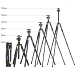 ZOMEI Z688 Monopiede treppiede portatile da viaggio professionale in lega di magnesio con testa a sfera per fotocamera digitale, Z688