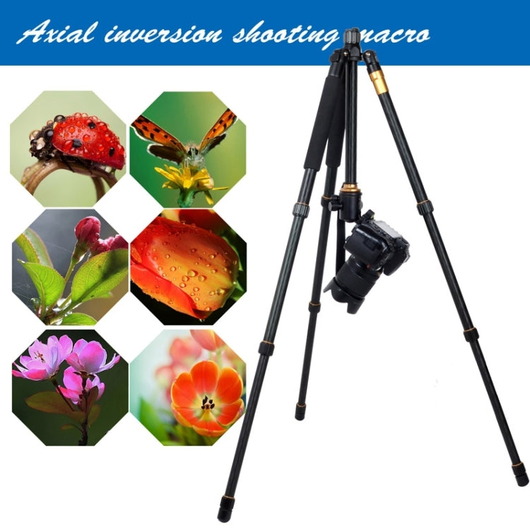 ZOMEI Z688 Monopiede treppiede portatile da viaggio professionale in lega di magnesio con testa a sfera per fotocamera digitale, Z688