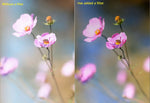 Filtro ND per GoPro HERO4, HERO3+ e HERO3