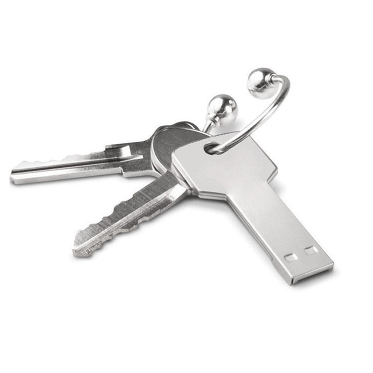 Chiavetta USB Flash Disk da 2 GB, 2GB, 4GB, 8GB