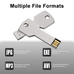 Chiavetta USB Flash Disk da 2 GB, 2GB, 4GB, 8GB