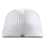 FS-LED01 500 lumen, wooden Material