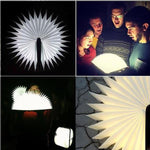 FS-LED01 500 lumen, wooden Material