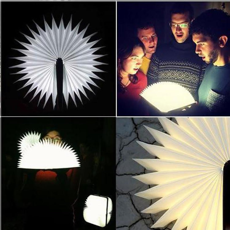 FS-LED01 500 lumen, wooden Material