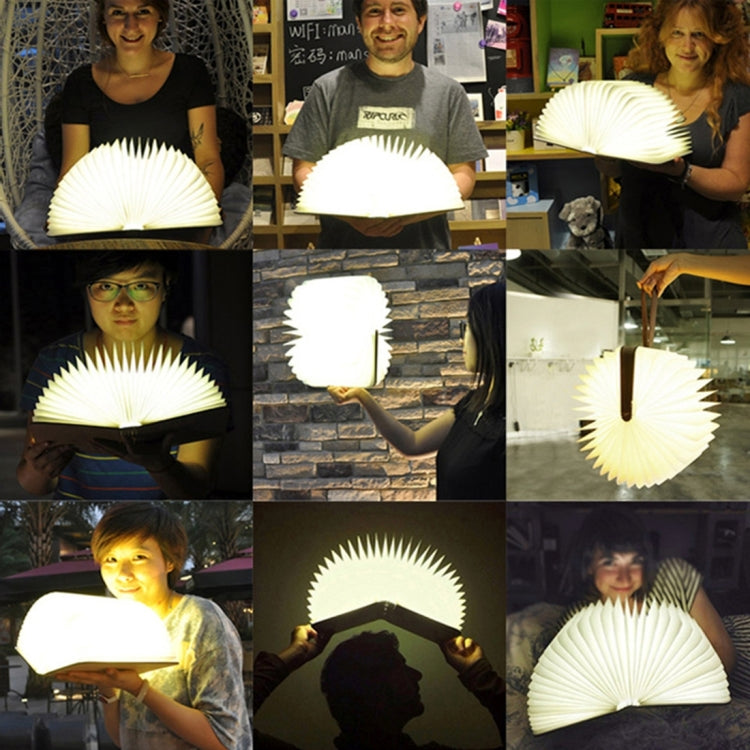 FS-LED01 500 lumen, wooden Material