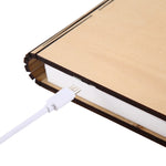 FS-LED01 500 lumen, wooden Material