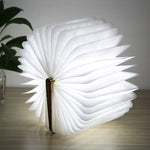 FS-LED01 500 lumen, wooden Material
