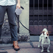 Guinzaglio retrattile per cani con motivo a griglia in bianco e nero da 5 m, Black and White Grid