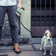 Guinzaglio flessibile retrattile per cani facile da usare, 5m Color Strip Style