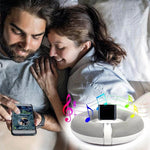 Ricevitore musicale Bluetooth V2.1 per iPhone e iPad