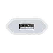 Adattatore caricabatterie USB 5V/1A UE