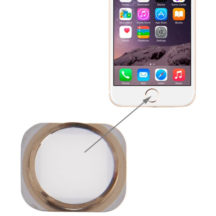 Tasto Home Ricambio per iPhone 6