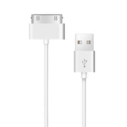 Cavo di ricarica e sincronizzazione 30 pin USB